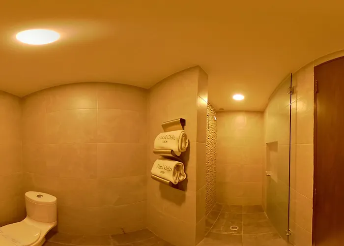 Hotel Oslo México DF
